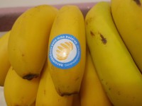 BANANA DA MADEIRA